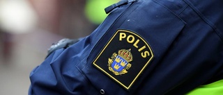 Polisen söker vittnen till brutal våldtäkt