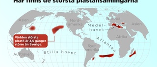 Havsfåglar hotas av jättelika öar av plast