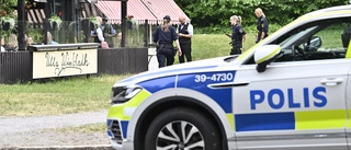 55-åring ansvarig för hästarna som skenade