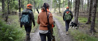 Naturreservaten skyddar inte djuren