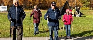 Stavgång i strålande väder    