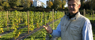 Vinodlaren om förbudet: "Skadar landsbygden"