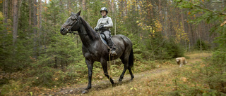 På hästryggen genom skön natur