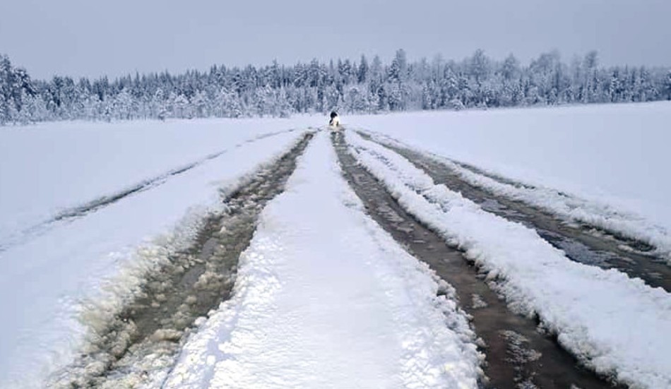 Stortjärn, bild från den 9 januari i år.