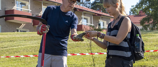 Slåtter ska ge ny blomsteräng nästa sommar