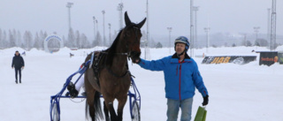 Svår fredagsomgång på Bodentravet