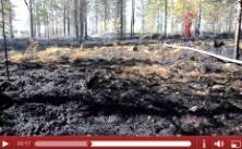 Webb-tv: Skogsbrand på Öberget