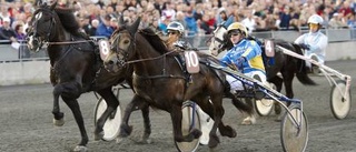 Gustafsson tog det kallt med hästen - och fick en historisk krans runt halsen: Är inte så överraskad