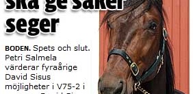 Finsk Sisu ska ge säker seger