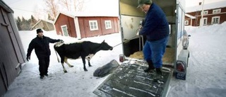 Bondeliv på gott och ont