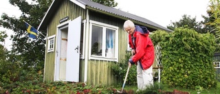 Åbysäcken kan få nytt kolonilottsområde