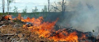 Ungdomars lek kan orsakat skogsbrand