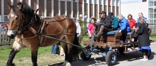 Jubileum med häst och vagn