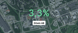 Ökad omsättningen för Ditwin AB – steg med 26,2 procent