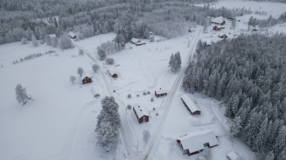 Här i Rönnliden kommer bilarna att passera. Publiken får se förarna ta sträckans mest tvära kurva.