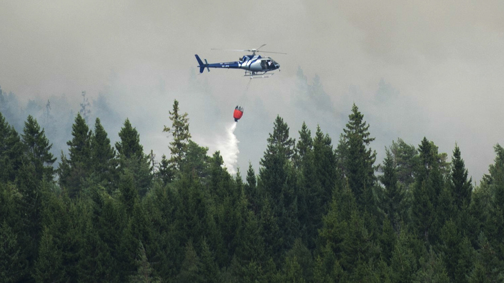 Risken för skogsbrand är nu stor eller mycket stor i hela Östergötland. (Bilden togs i Västmanland 2014.)