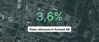 Årsredovisningen klar: Så gick det för Peter Johnsson It-Konsult AB