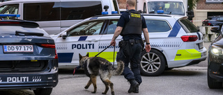 Svensk polis flyttar till Danmark