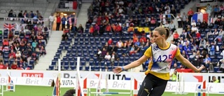 WEBB-TV: Se hunden Milla briljera i agility-SM