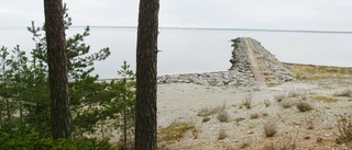 Ny aktör vill bygga hotell vid strandkanten