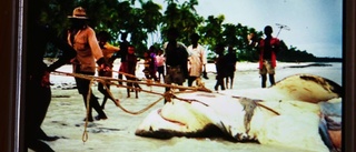 De sökte en livsstil och fann Zanzibar