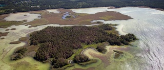 KLART: Här är Gotlands nya naturreservat