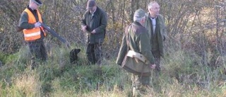 Spanieljaktprov på fina marker vid Romabruket