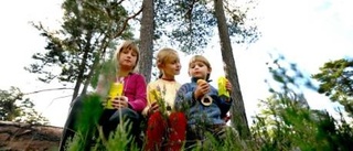 Pinnbröd och medaljer