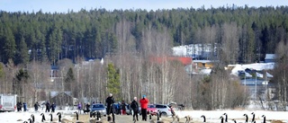 Bildextra: Lyckad dag i fåglarnas tecken