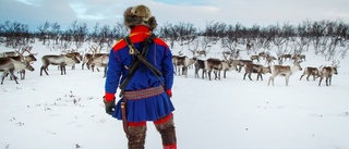 Naturskydd och samiska rättigheter i ny avhandling