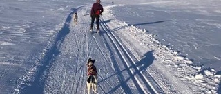 Våren är här: Först kratta gården, sen ta en skidtur