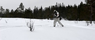 Högvilt för försvaret