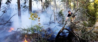 Varning: Extremt hög risk för markbrand på Gotland