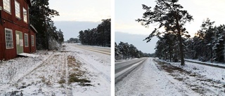 De klipper vägkanterna på norra Gotland