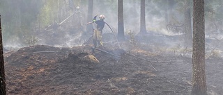 Efter veckans skogsbrand: "Det behövs mer regn"