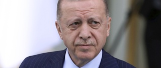 Erdogan till ny attack mot SVT-intervju