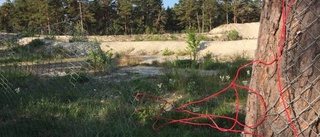 ”Plastmuggskonstnär” tar sig an kalkbrottet