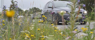 Trafikverkets balans bland blommor och bil