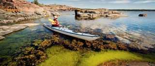 Unik natur lockar utländska turister