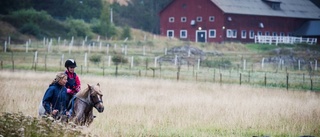 Här är planen för nya ridanläggningen