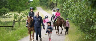 Stallskola för hästtokiga barn