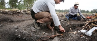 Järnåldersby hittat på skjutfältet