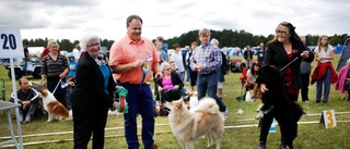 Här är Gotlands finaste hund!