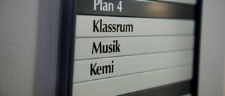 Ska skolan vara en marknadsplats?