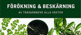 Kunskaperna som du saknat om beskärning och förökning