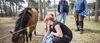 Ridsport på Gotland – hur vill vi ha det framåt?