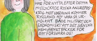 Bildinsändaren: Natofrågan    