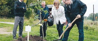 Omstart för Kustlandet