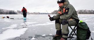 FISKE: Bronsmedalj till pimpeldamer