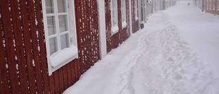 Kraftiga snöbyar och blåst i dag också